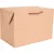 Lunchbox Kraft