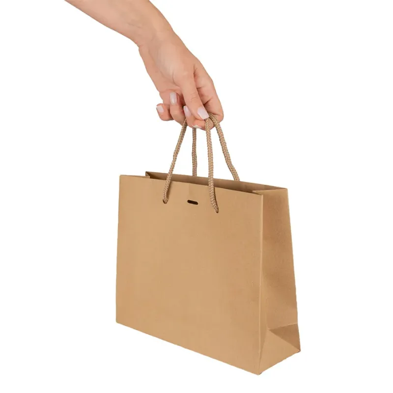 Sac en papier luxe noir – Élégance et qualité haut de gamme Sac en papier luxe noir – Élégance et qualité haut de gamme
