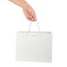 Sacs de Luxe Blanc