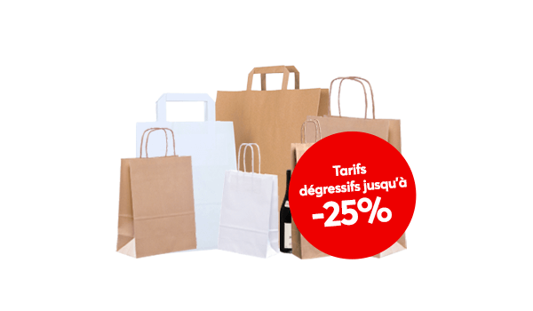 Sacs papier krafts